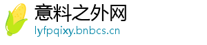 意料之外网